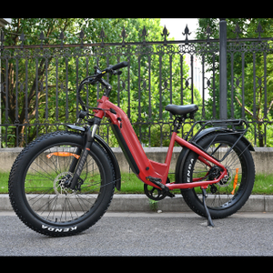 Hakbang sa pamamagitan ng disenyo ng electric fat gulong bike 26 'pulgada gulong single/dual baterya electric bike para ibenta