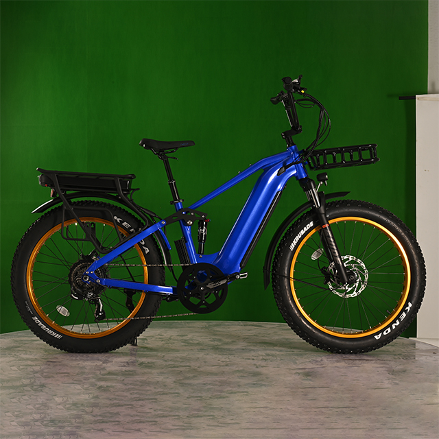 Dual Battery Eletcirc Bike High Power Electric Fat Tyre Bike 1500W Hub Motor