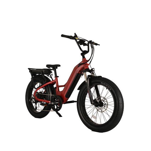 Dual Battery Electric Bike na may Hulihan Hub Motor Design 26 'Inch Fat Tyre Electric Bike na may malakas na motor
