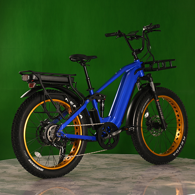 Dual Battery Eletcirc Bike High Power Electric Fat Tyre Bike 1500W Hub Motor