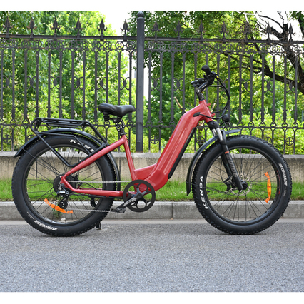 Fat Tyre Electric Bike 26 Inch Single Dual Battery