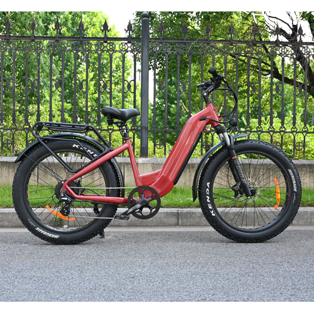 Hakbang sa pamamagitan ng disenyo ng electric fat gulong bike 26 'pulgada gulong single/dual baterya electric bike para ibenta