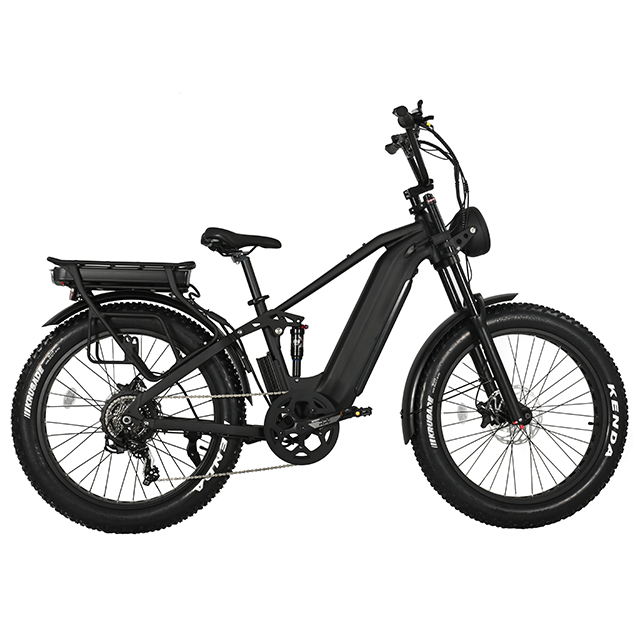Muti-Terrain Off-Road Fat Tyre Electric Bike Limang Star II High Power Eletric Bike