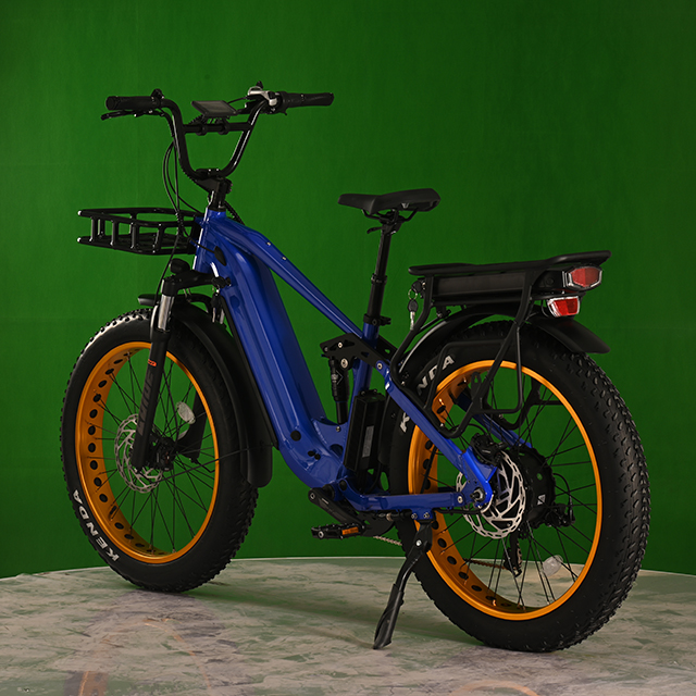 Dual Battery Eletcirc Bike High Power Electric Fat Tyre Bike 1500W Hub Motor