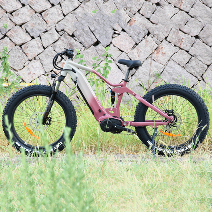 1000W/1200W Truckrun Mid Motor Electric Bike Single/dual Battery Option Fat Tire Electric Bike