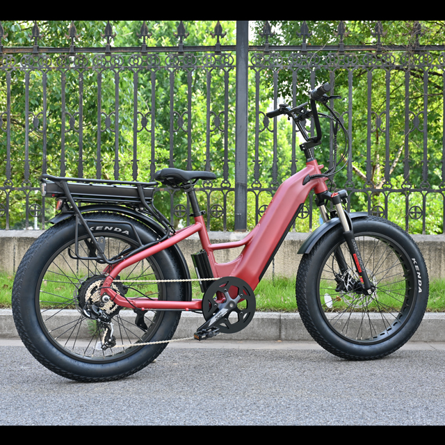 Dual Battery Electric Bike na may Hulihan Hub Motor Design 26 'Inch Fat Tyre Electric Bike na may malakas na motor