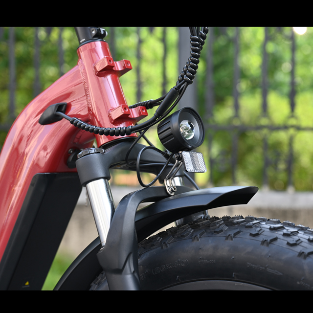 Hakbang sa pamamagitan ng disenyo ng electric fat gulong bike 26 'pulgada gulong single/dual baterya electric bike para ibenta