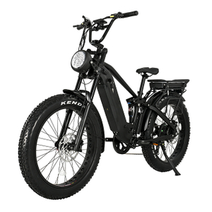 Muti-Terrain Off-Road Fat Tyre Electric Bike Limang Star II High Power Eletric Bike