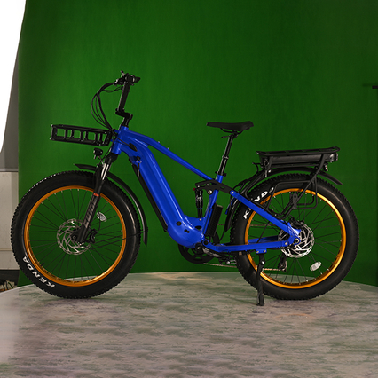 Dual Battery Eletcirc Bike High Power Electric Fat Tyre Bike 1500W Hub Motor