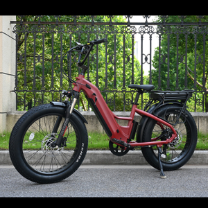 Dual Battery Electric Bike na may Hulihan Hub Motor Design 26 'Inch Fat Tyre Electric Bike na may malakas na motor