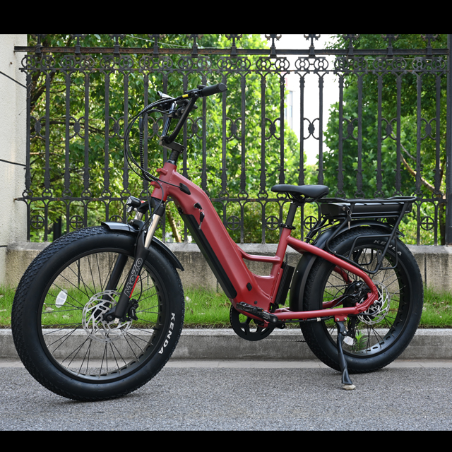 Dual Battery Electric Bike na may Hulihan Hub Motor Design 26 'Inch Fat Tyre Electric Bike na may malakas na motor