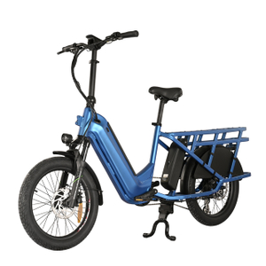Bagong Cargo Bike na may Nakatagong Down Tube Baterya 20 'Inch Fat Tyre Bike