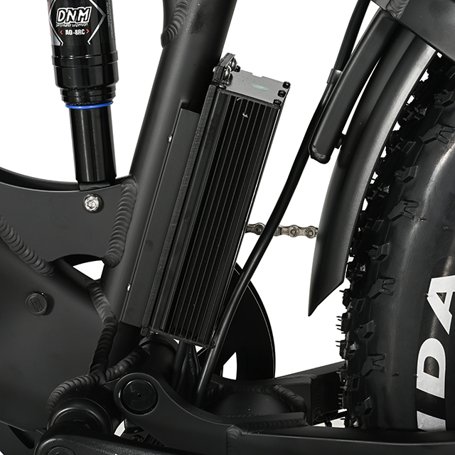 Muti-Terrain Off-Road Fat Tyre Electric Bike Limang Star II High Power Eletric Bike