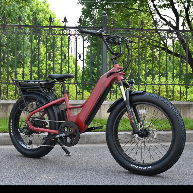 Dual Battery Electric Bike na may Hulihan Hub Motor Design 26 'Inch Fat Tyre Electric Bike na may malakas na motor