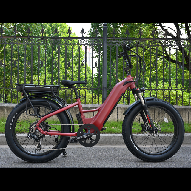 Dual Battery Electric Bike na may Hulihan Hub Motor Design 26 'Inch Fat Tyre Electric Bike na may malakas na motor