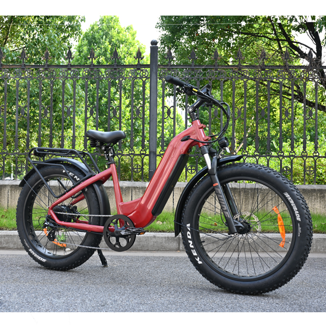 Hakbang sa pamamagitan ng disenyo ng electric fat gulong bike 26 'pulgada gulong single/dual baterya electric bike para ibenta