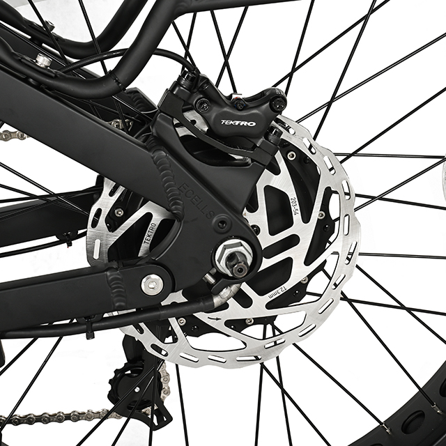 Muti-Terrain Off-Road Fat Tyre Electric Bike Limang Star II High Power Eletric Bike