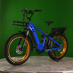 Dual Battery Eletcirc Bike High Power Electric Fat Tyre Bike 1500W Hub Motor